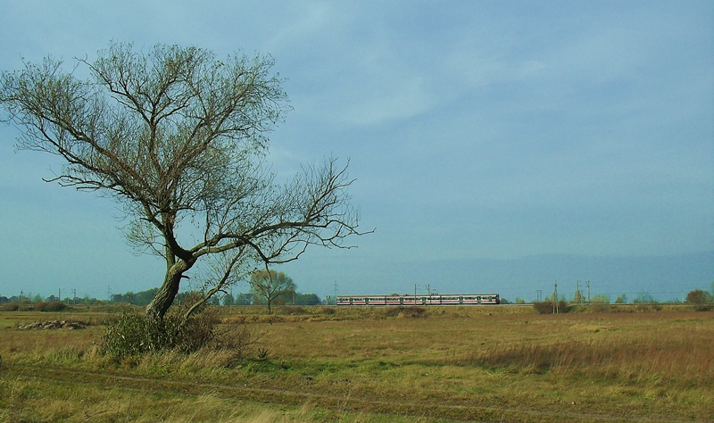 na łęgach sieradzkich