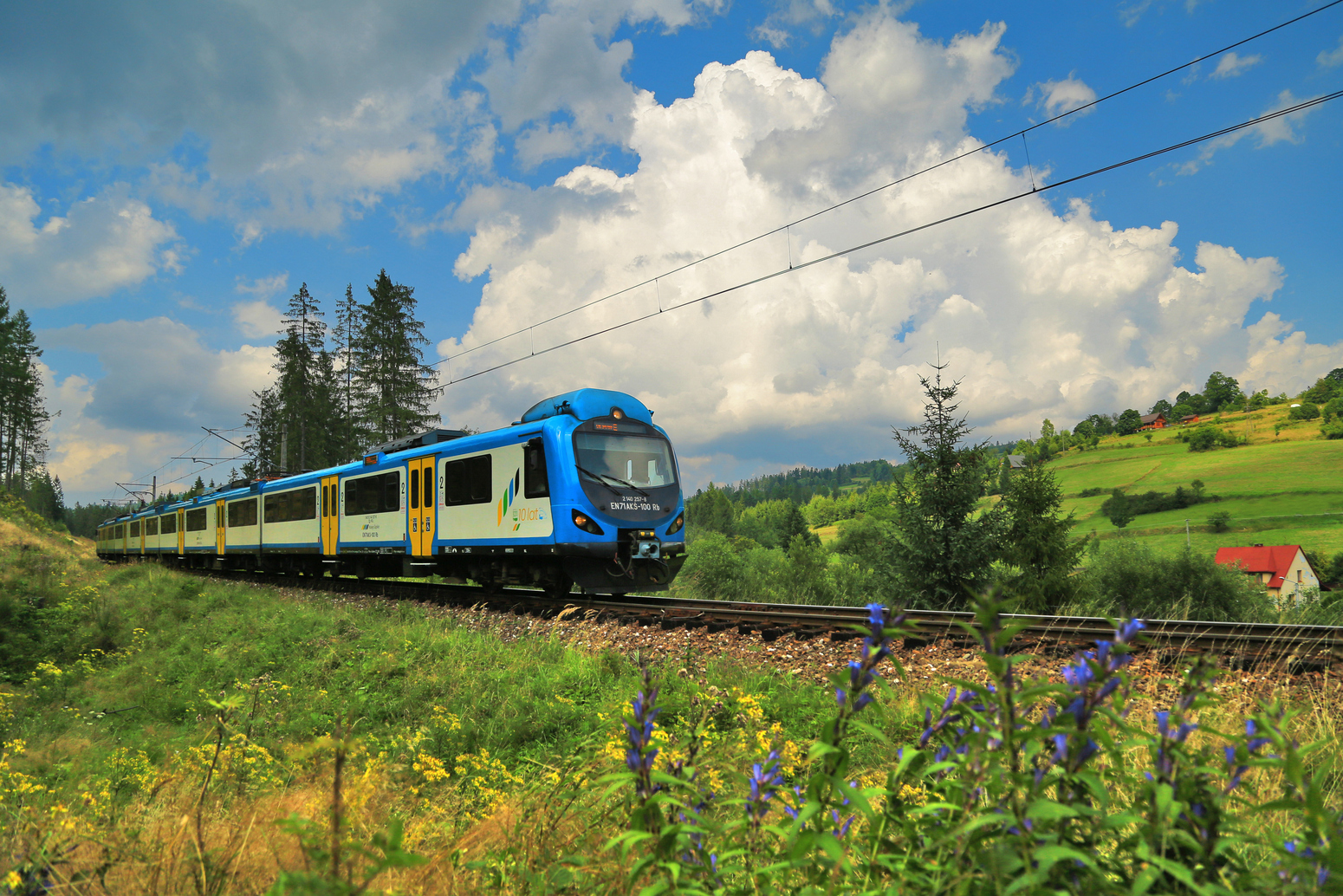 Na Beskidzkim szlaku