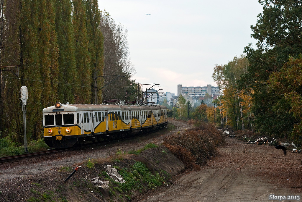 Klop, samolot i ptak