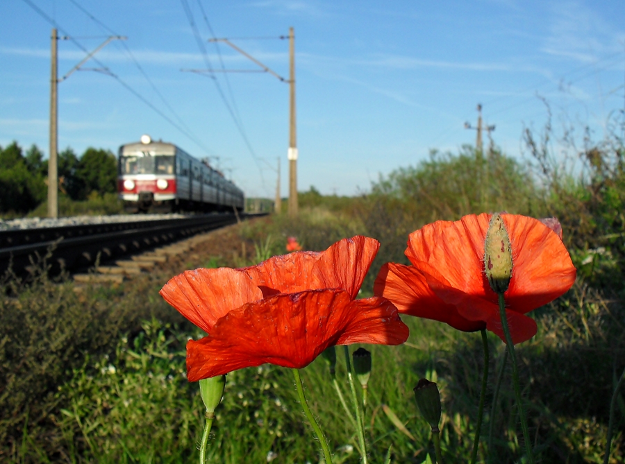 Żegnaj lato na rok...