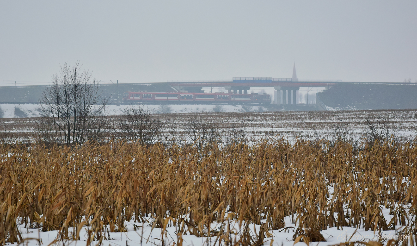 Smętny Smętowski kadr