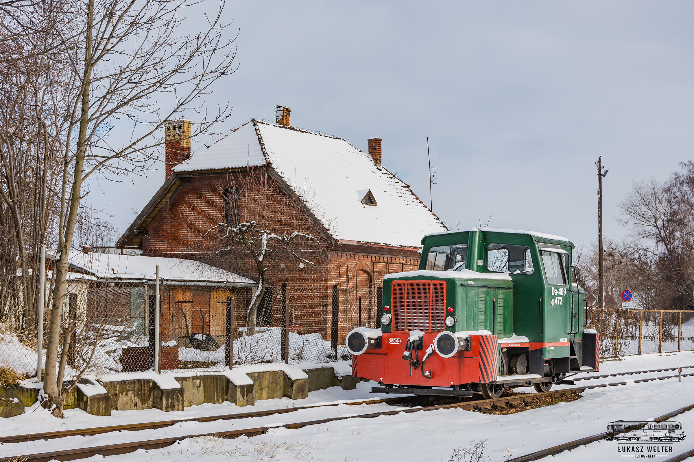 Kaczka w zimowej odsłonie