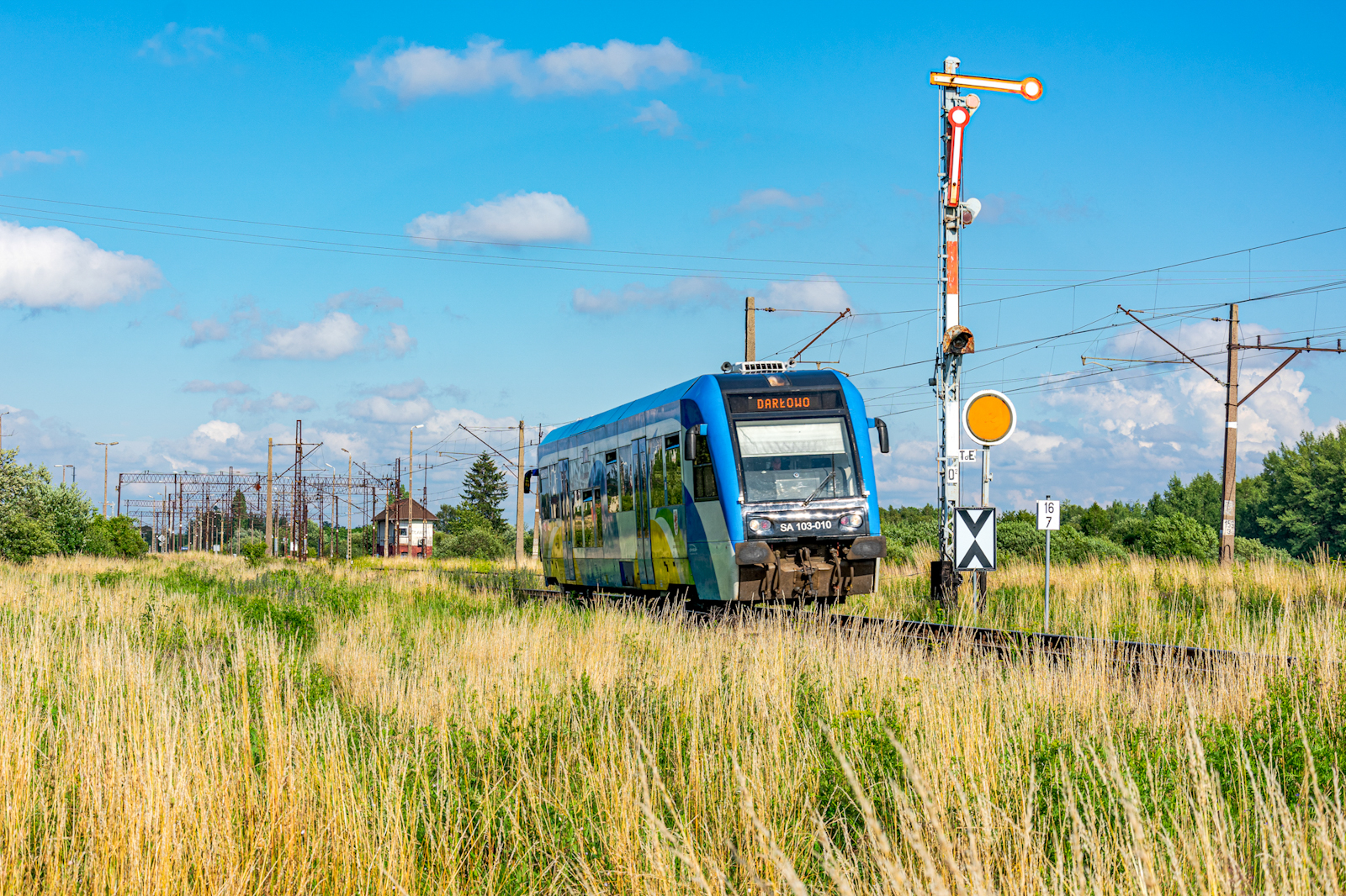 Sepsa pod kształtem