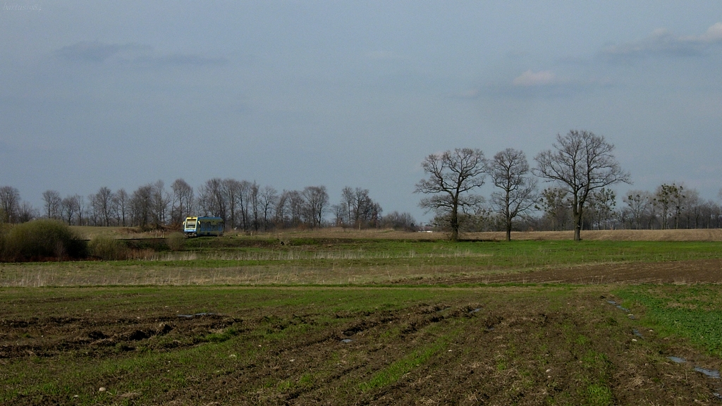 Pierwszy na zastępstwie...