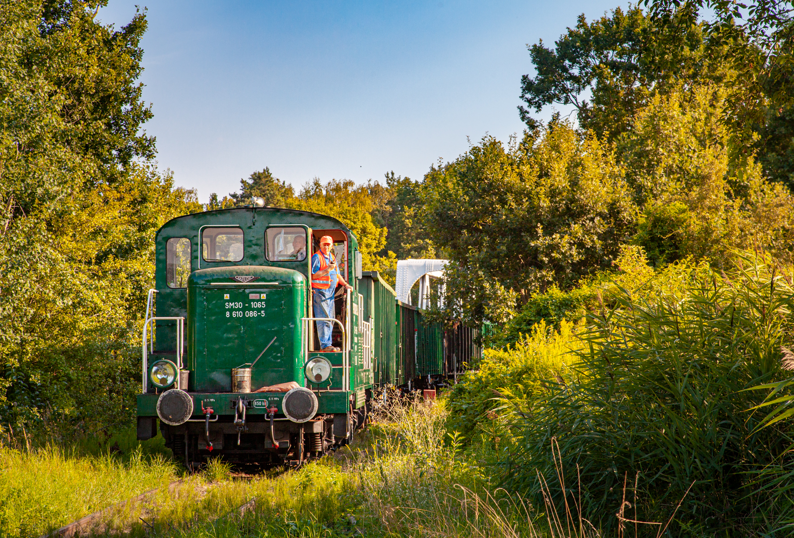 Protorowska trzydziecha na piachu