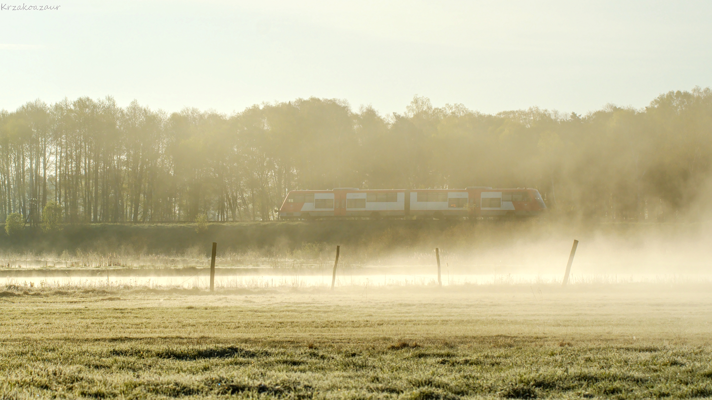 Zepsuty parownik żelazka