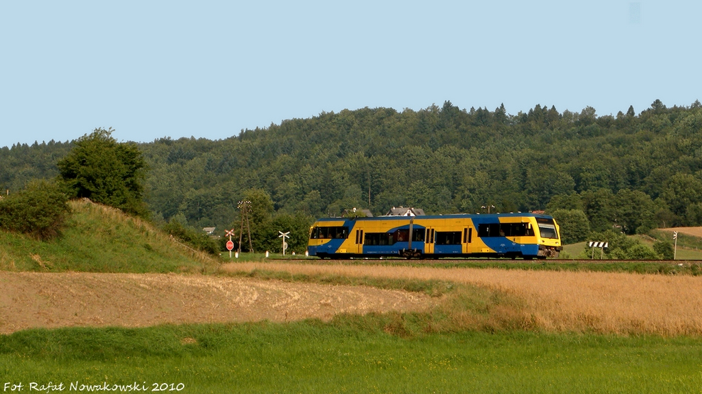 Zanim dotarły szerszenie