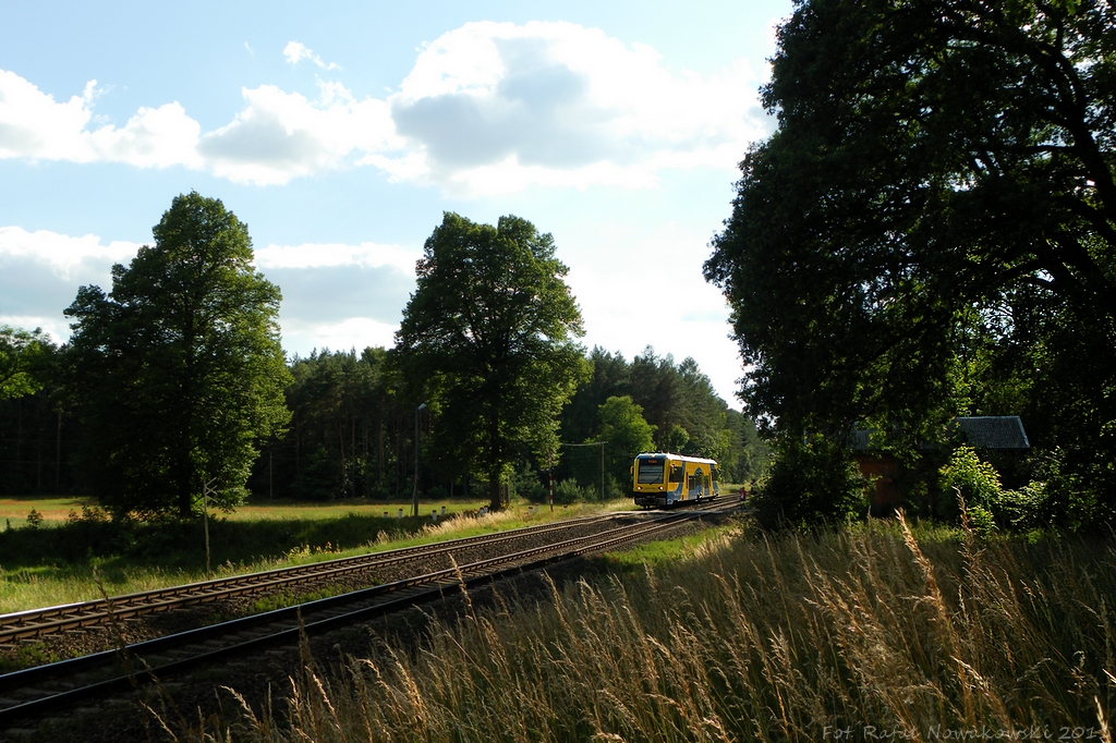 Żółty w soczystej zieleni