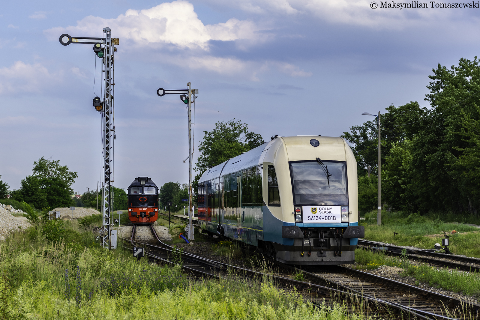 Rogoźnica z przed dwóch lat