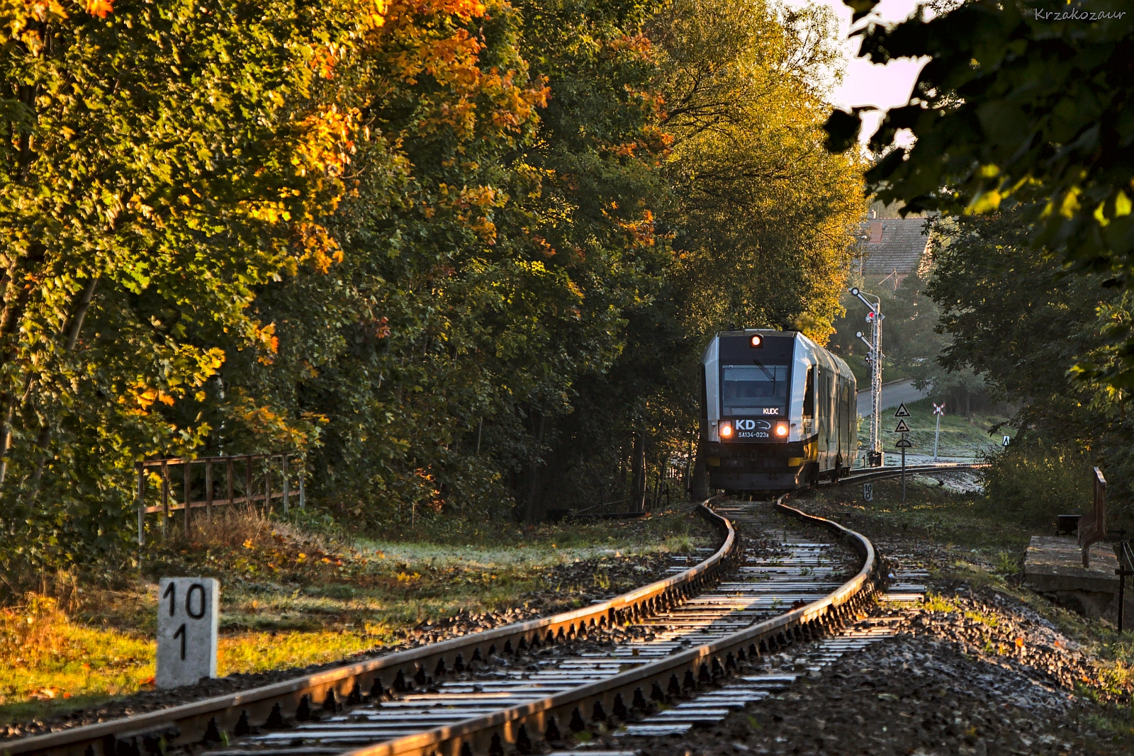 Polanica mnie zachwyca