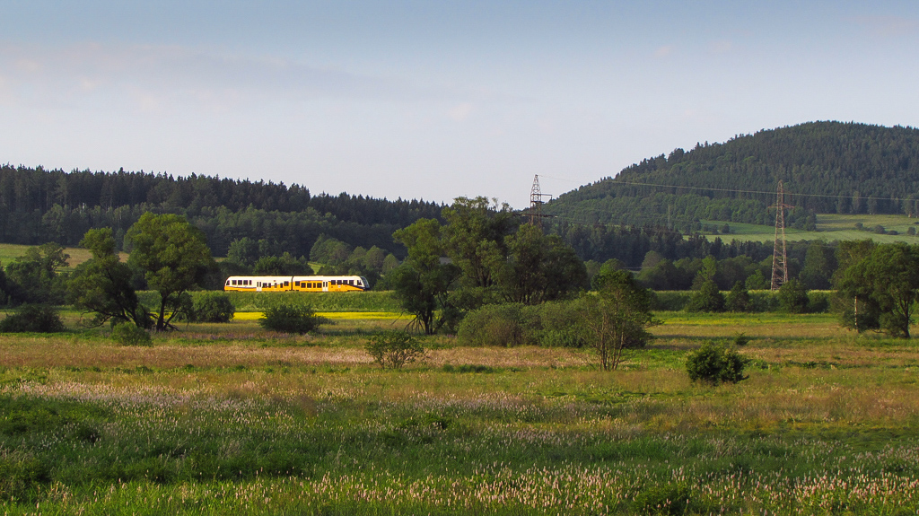 Koniec dnia nad sawanną