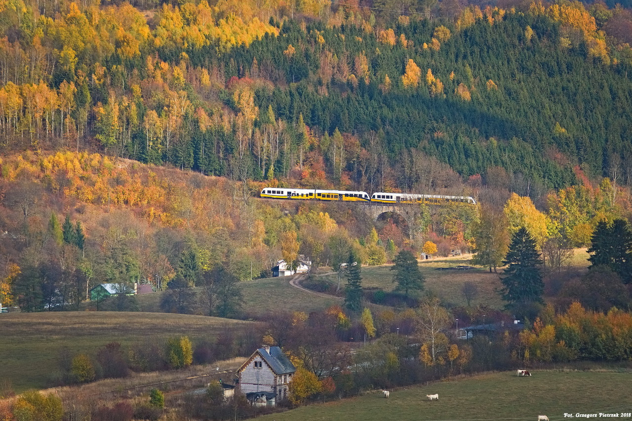 "Lewińskie Klimaty"