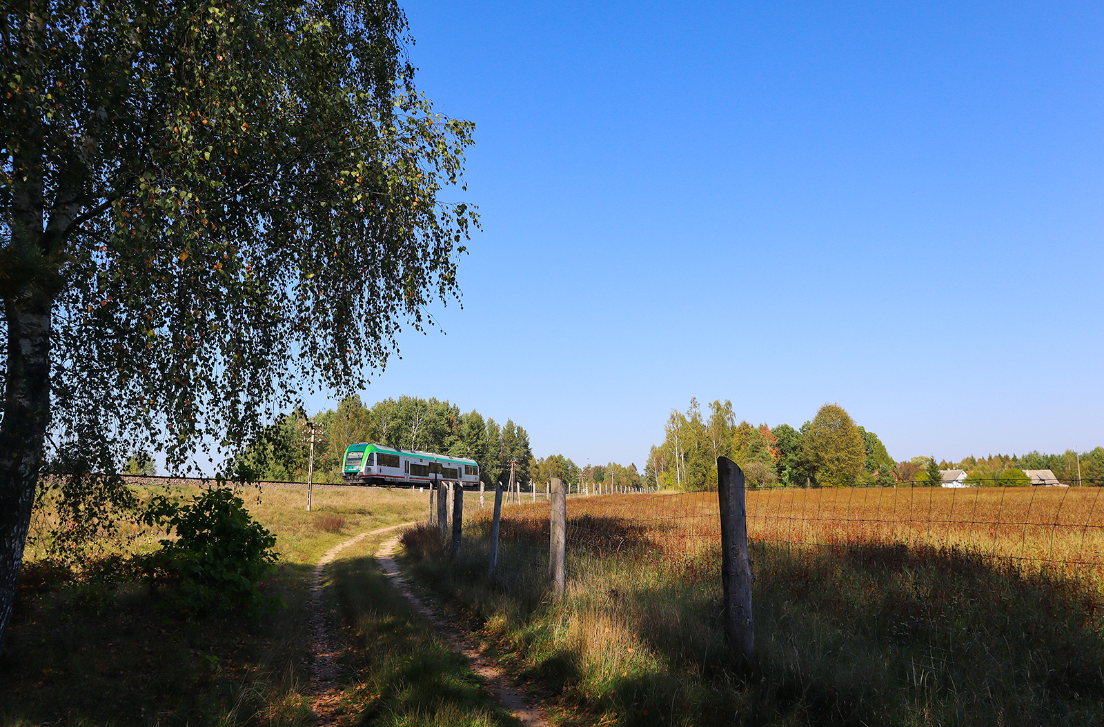 Złota Polska Jesień