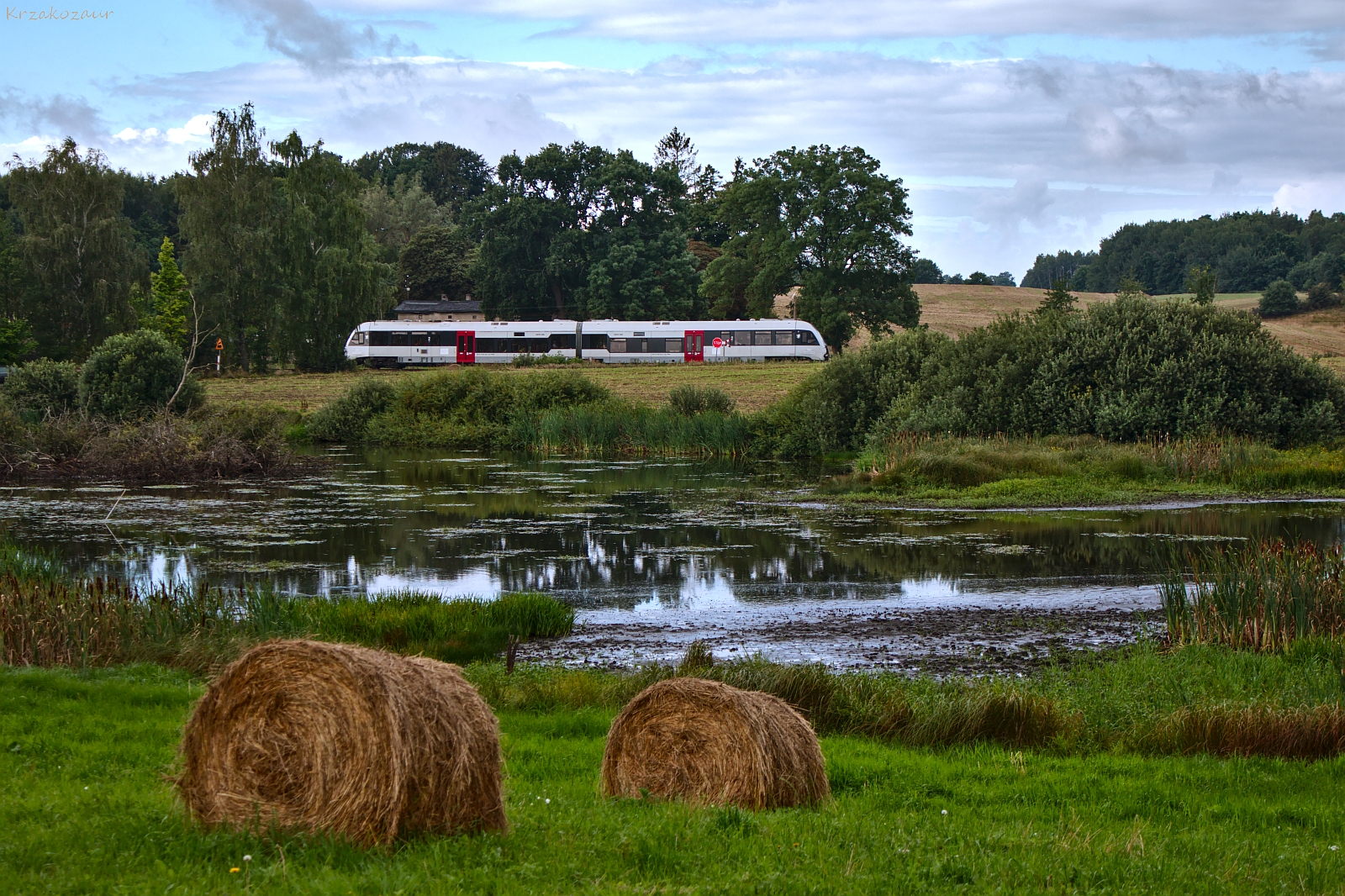 Wakacyjny koncert życzeń