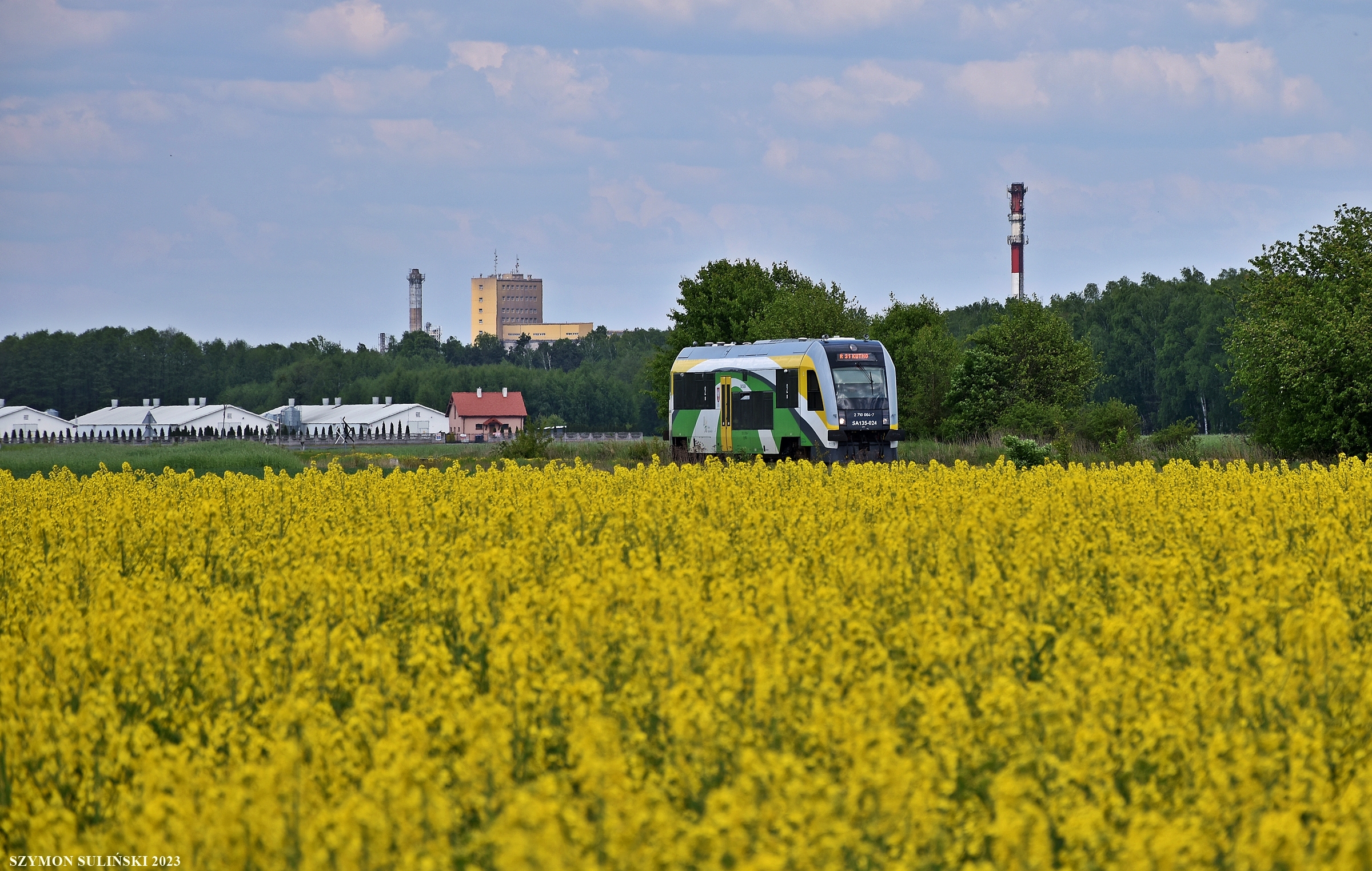 Koleje Mazowieckie w pod sierpeckim rzepaku