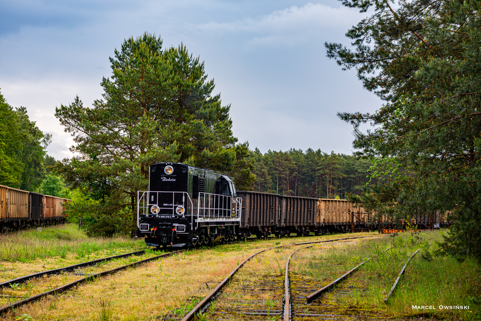 SM31-151 w Białych Błotach