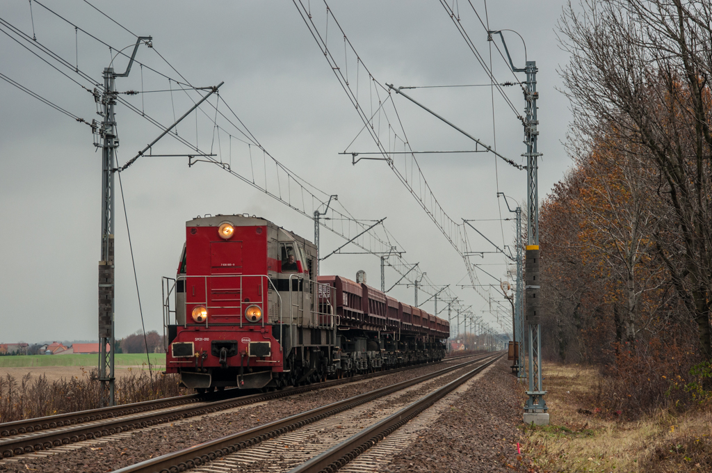 Szlakówka z Jaworzyny.