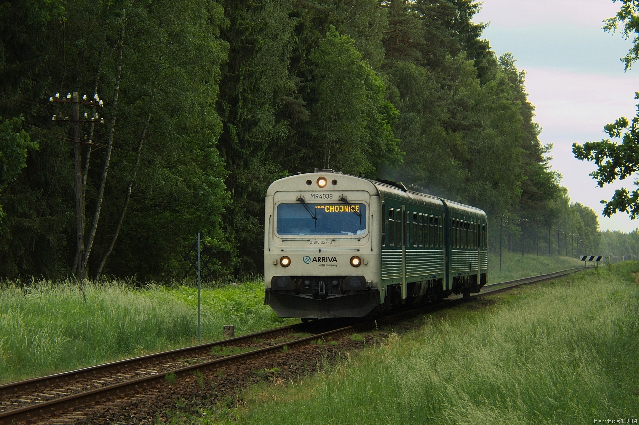 Mrówa w swoim żywiole.