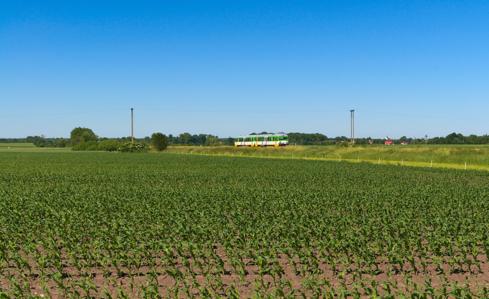 Czeremszak pod Mordami