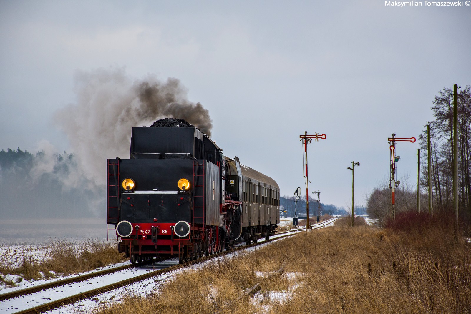 Petucha do Zbąszynka