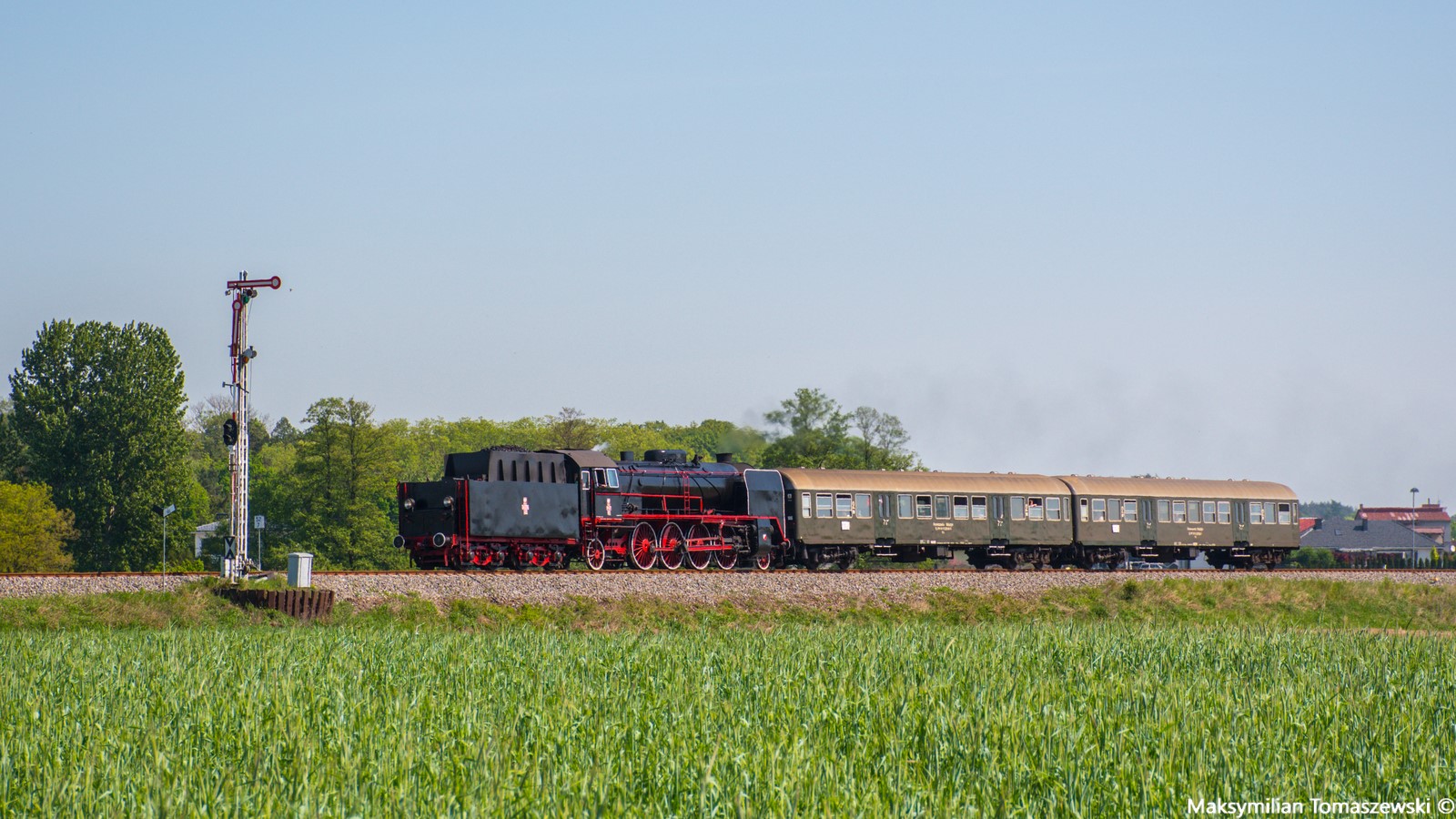 Petucha w drodze na paradę