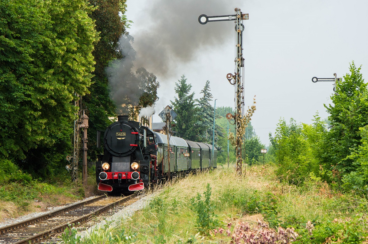 Zarośnięte Kobierzyce.