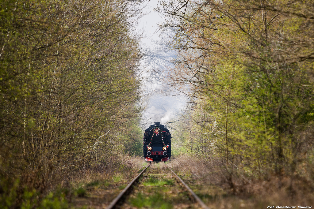 Ty42-24 w leśnym tunelu