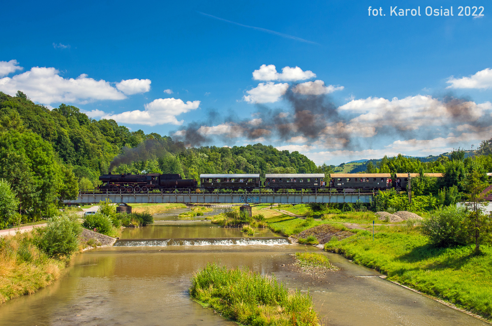Teigrek nad Mszanką
