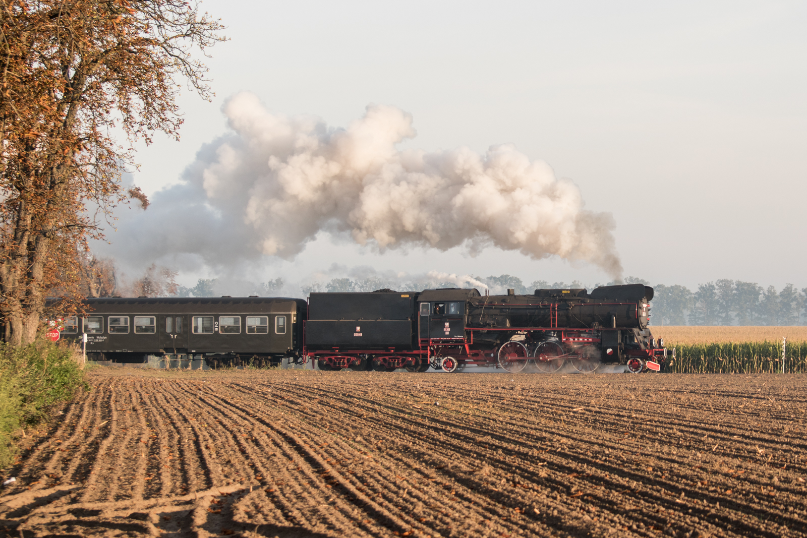 Jesienna Ol49-69 z planowcem [1/2]