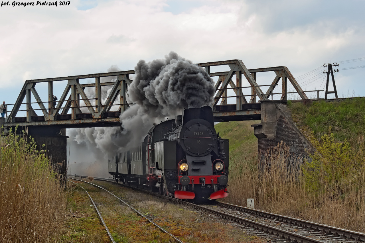 Tekatka w Wolsztynie