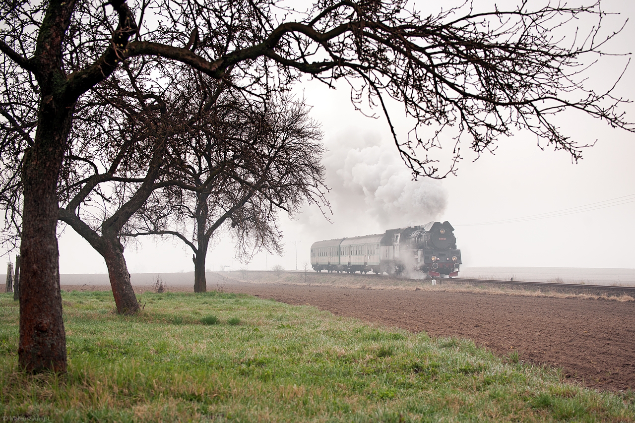 Zjawa z porannych mgieł