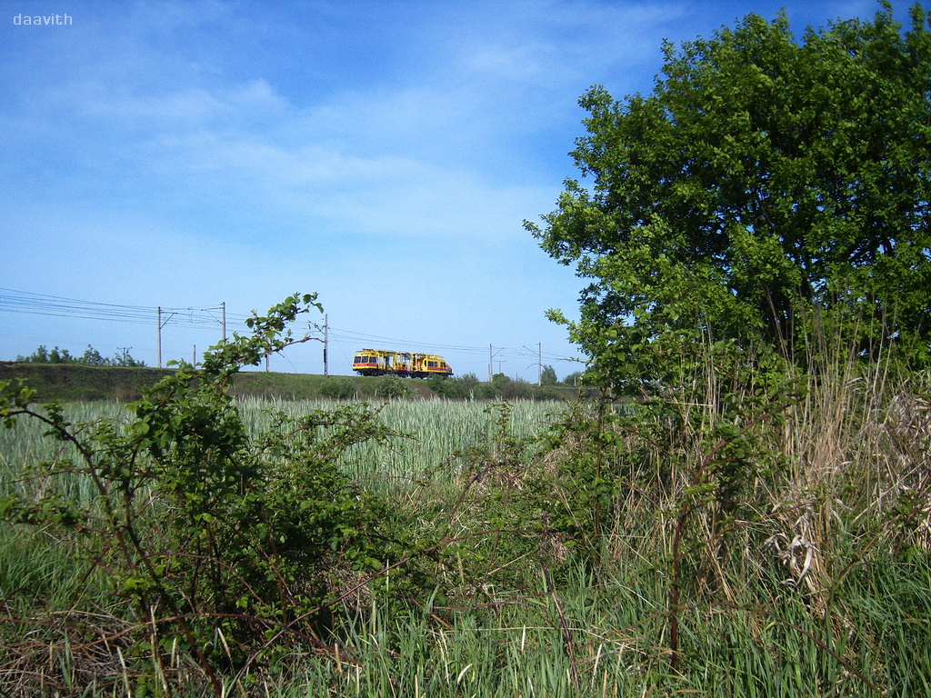 W objęciach zieleni