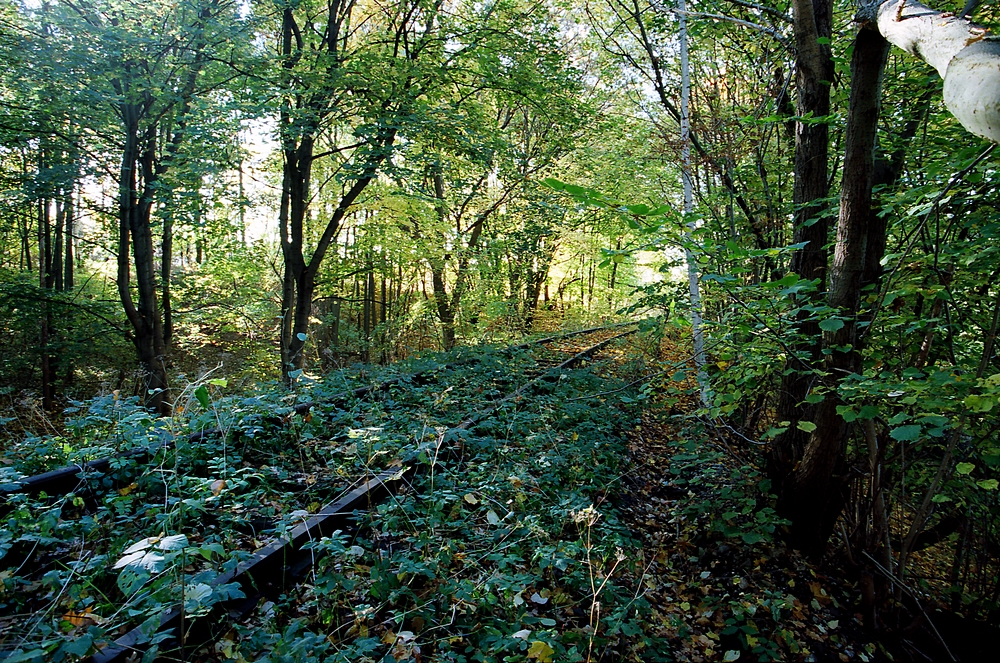 Przyszłość kolei...