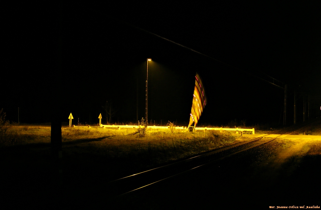 Niesforne rogatki...