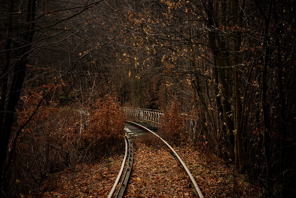 Jesień na Kolei Bystrzyckiej