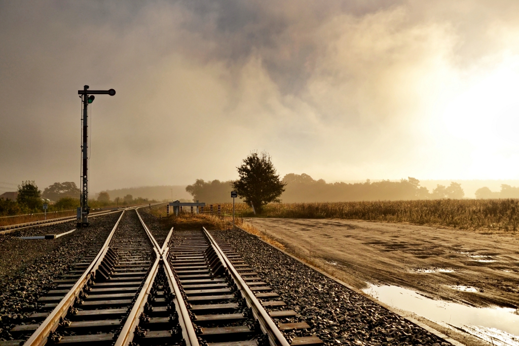 Poranek w Szreniawie