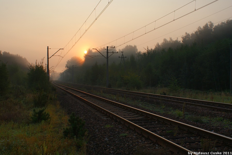 Wschód na Winiarach