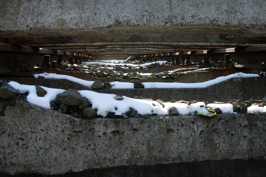 Plusiki,minusiki, wierszyki, elaboraciki :D...