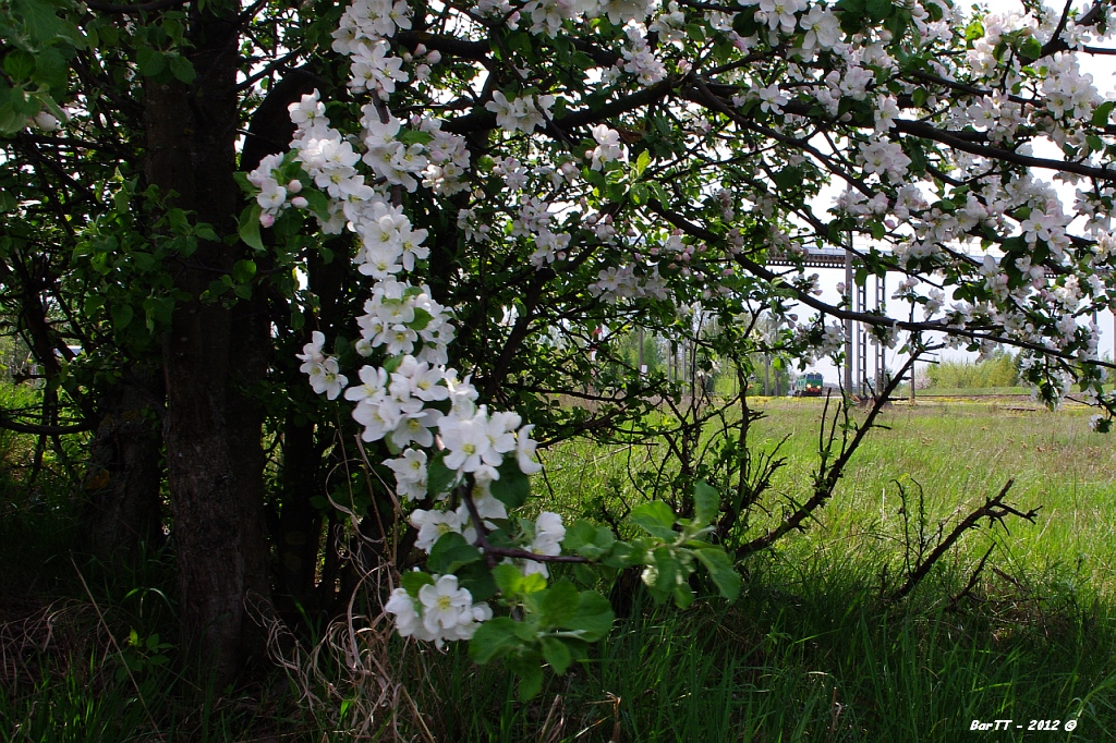 Wiosennie, kolejowo?