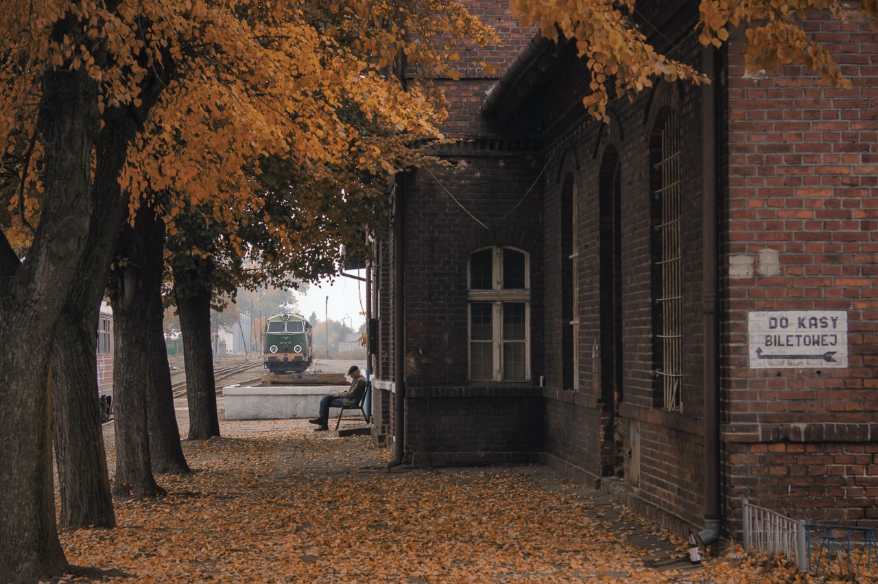 Impresja na znikający świat