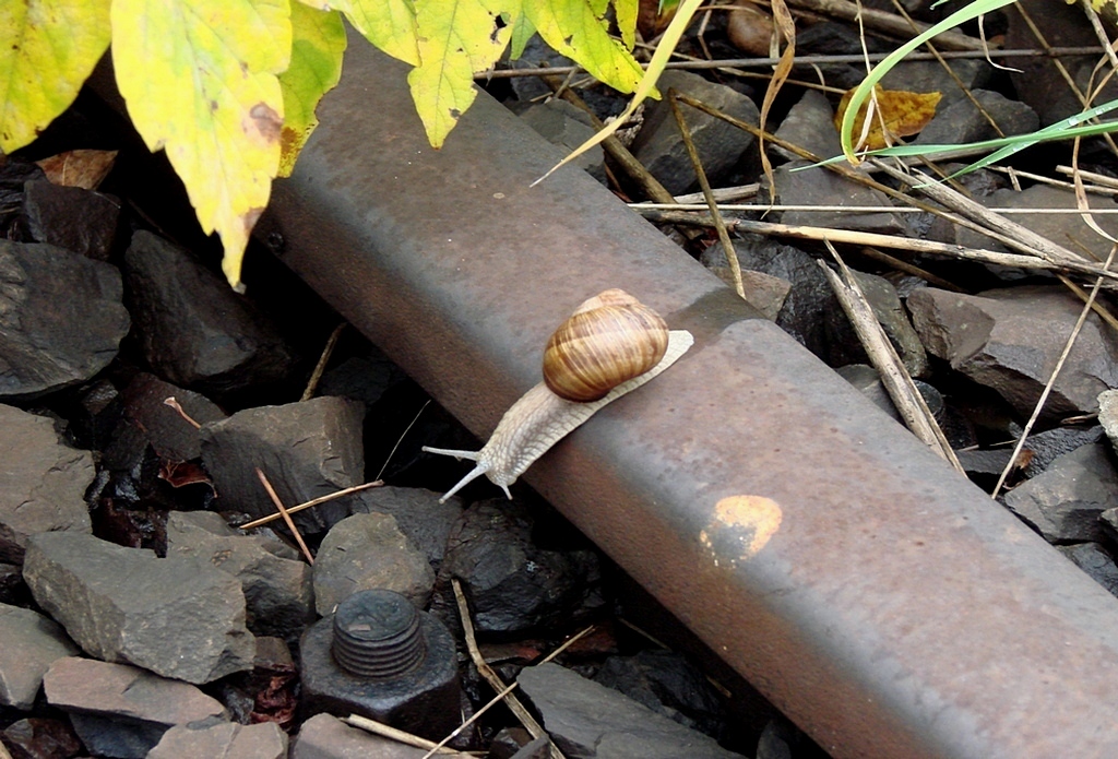 Uwaga, zaraz będę skakał!