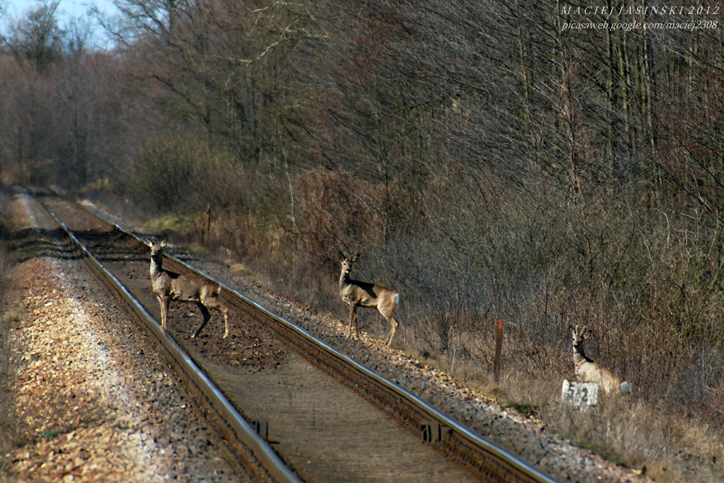 W oczekiwaniu na brutto