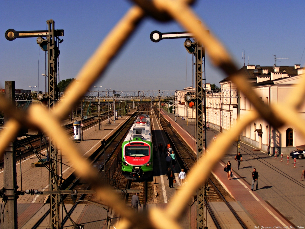 Podlaska bestia za kratami...