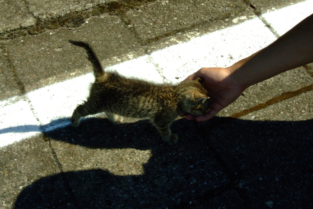 Ludzie przyszli na moją stacje