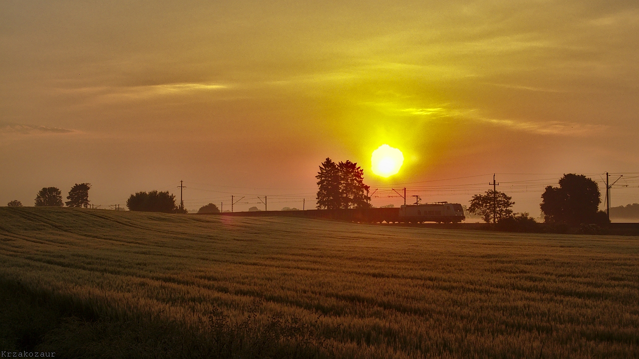 Poranny świt dodaje nam sił III