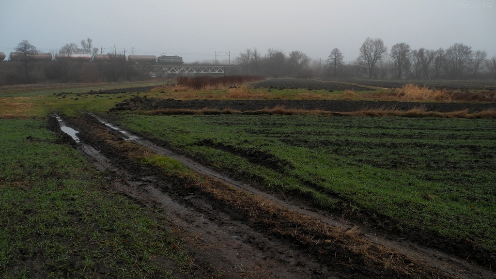 Drogi Ziomku Rafalski, powiedz mi...