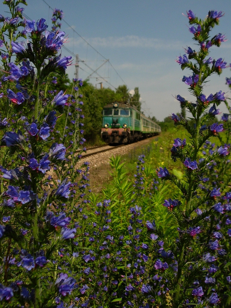 Pociąg do przyrody...