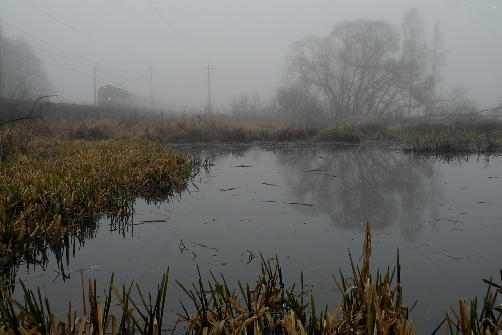 Do Krakowa do Rodziny...