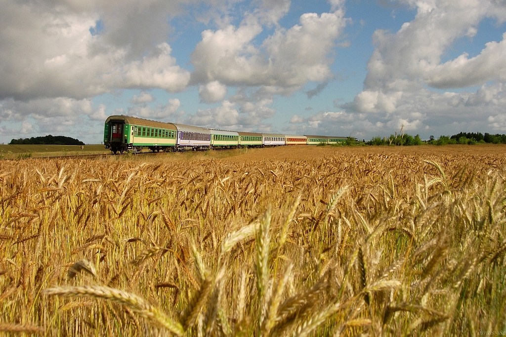 Wspomienia z wakacji...