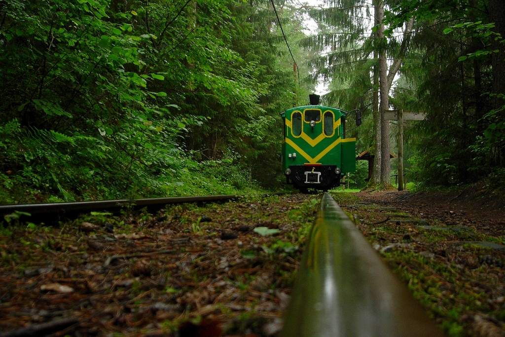 Łódzka rekompensata :):):)